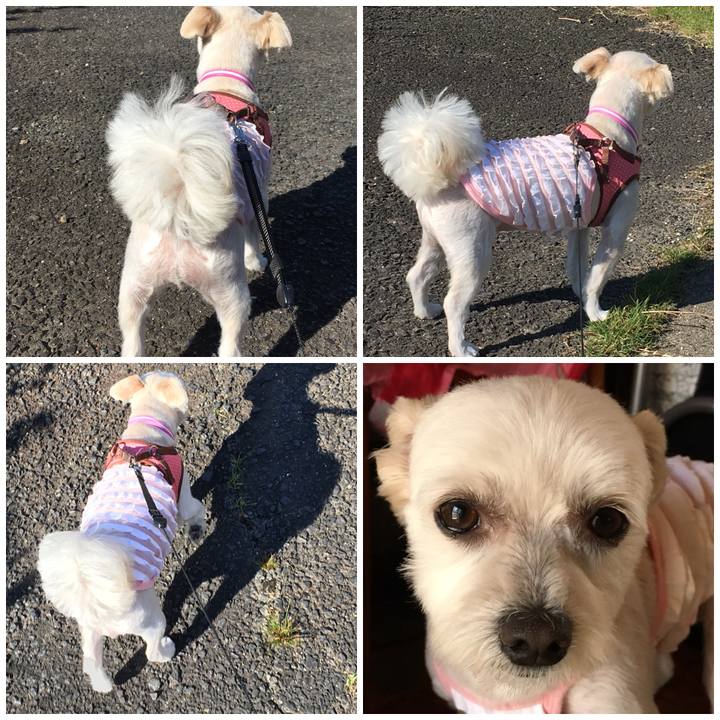 1664f662 8158 4ab2 a103 ff37b015b5d2 1528940819074