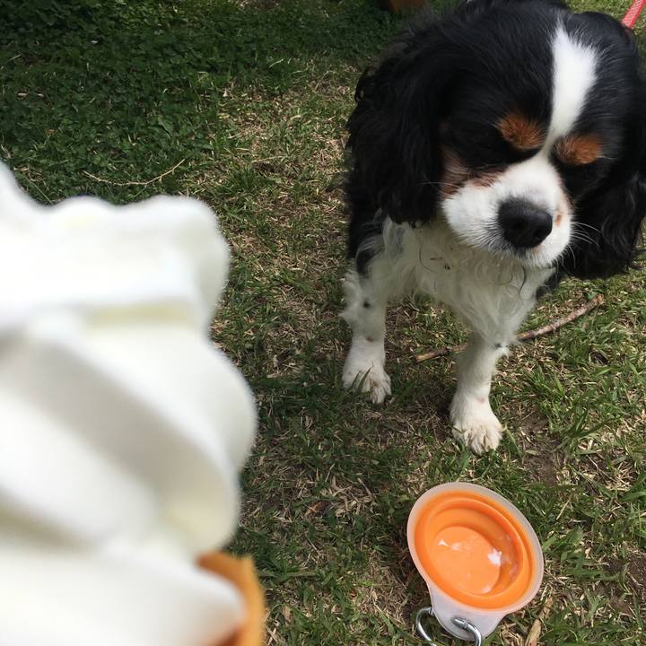 1665003c 71b0 4bd8 805d 64e85bd17b3f 1525261040629