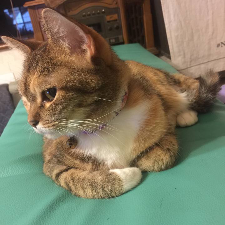 16650643 c8bc 4cb1 a3c1 89454909e70a 1568728819182