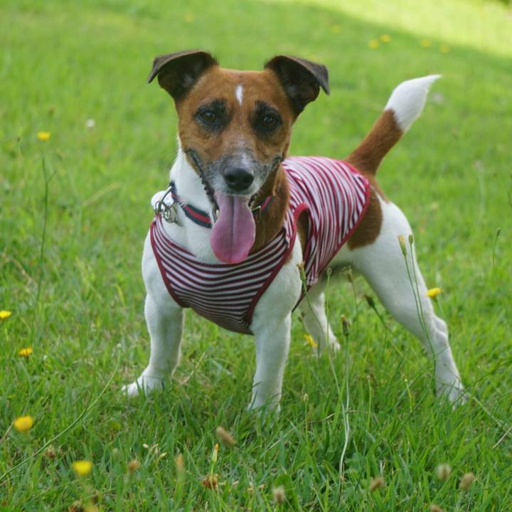 16651a5f 0dc9 46a8 880c 8c32e5130af5 1531436344271