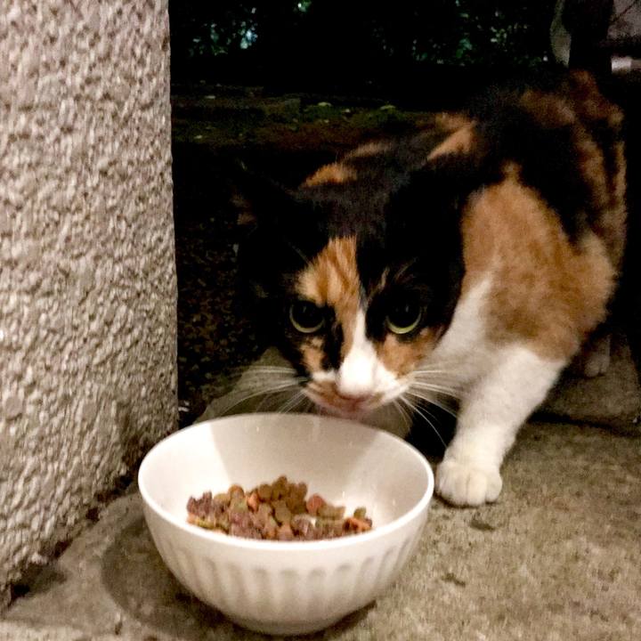 16651d78 a2f7 496c 9e35 48bf577793d9 1533907040882