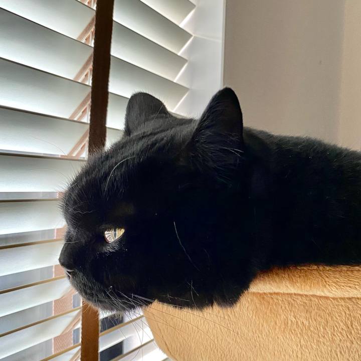 166520f1 5d05 4efd 82c8 17d0659f813f 1644629019847