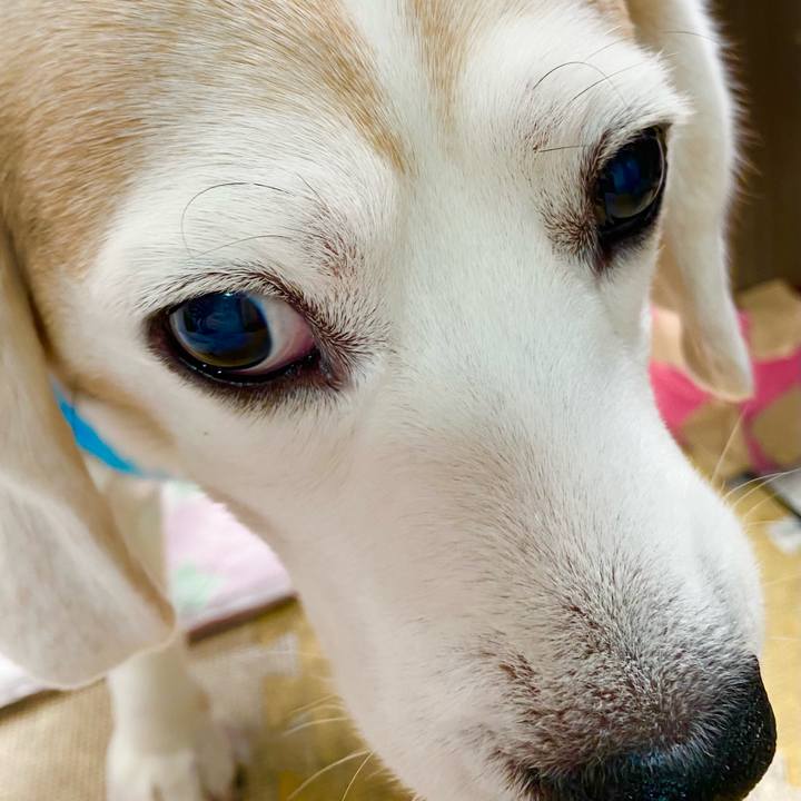 166597ed 7b68 460b aade c5ecf065945f 1646802916339