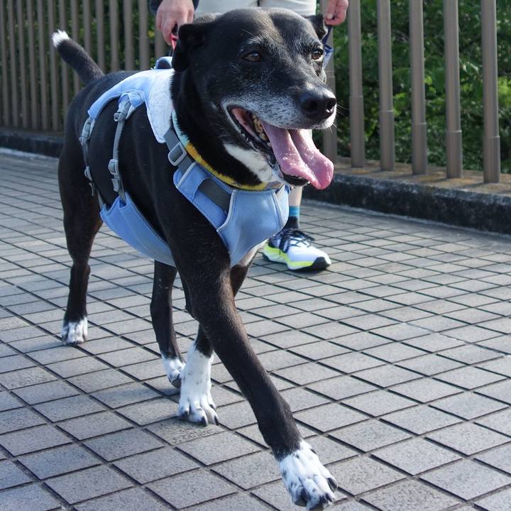 1665ba28 fc07 4691 a952 12dbeb6ca123 1753229408016