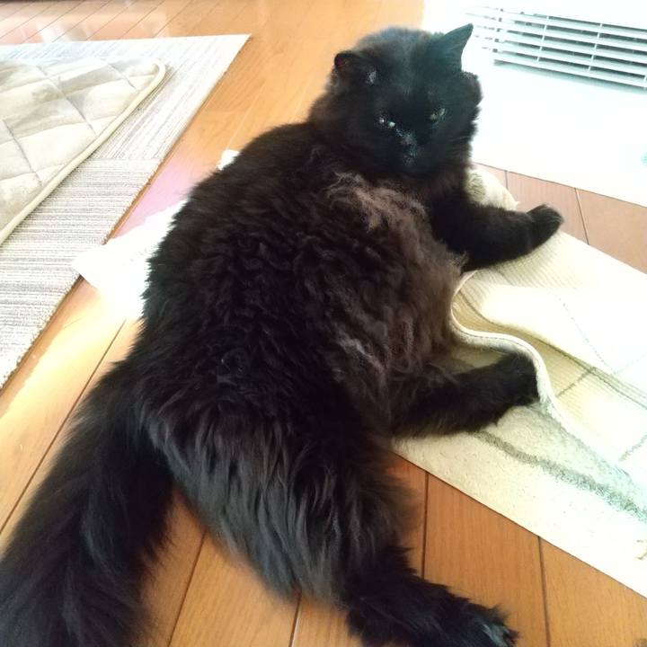 1665f891 7c1c 4ce3 9b02 745beecf52f0 1641682603468