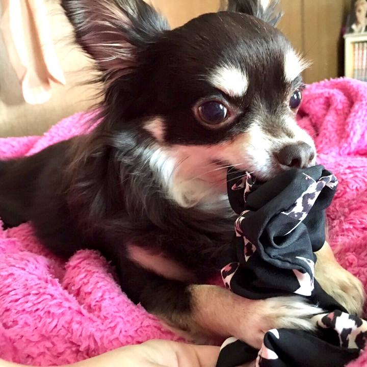 1666234a bd55 4c07 8420 ad47fa236745 1591156867324