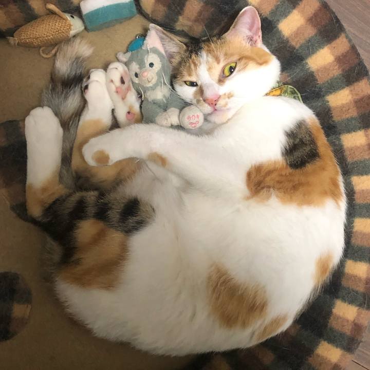 1666692d b034 4045 a431 bfa3748d595a 1595601296260