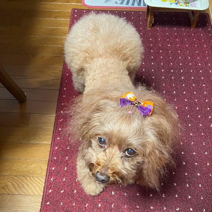 16669290 9d2c 4a9b a16a a8bc555bf281 1760394957650