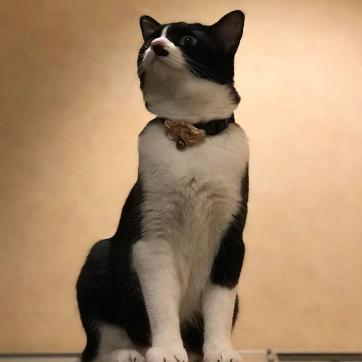 1666aa45 523a 4127 8d7c c75d8b22bc65 1535286966556