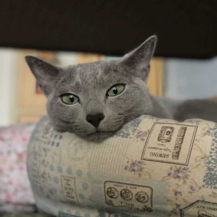 1666af7d 0217 491a bd32 483fd4e762e5 1715813994596