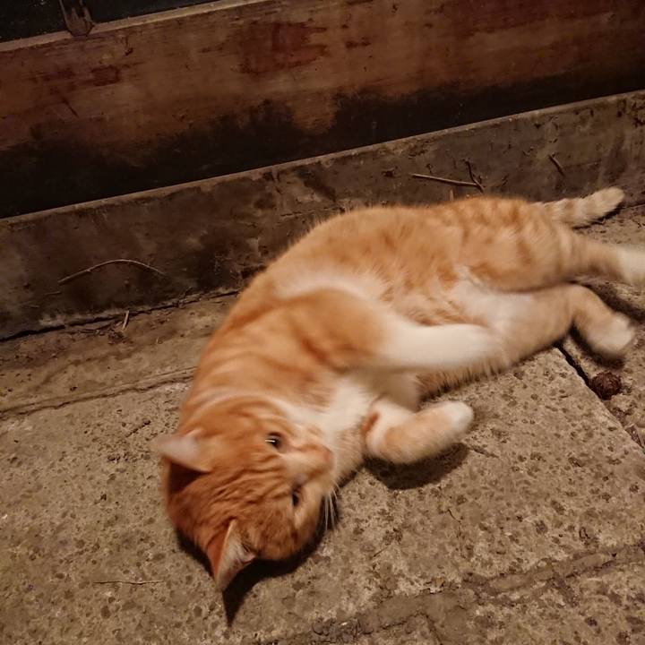 1666ec16 9a60 4072 8084 a55a5b76d337 1579164807798