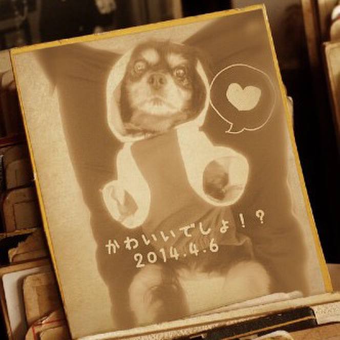 16672739 d50b 4185 97ce b874a9306d21 1544432351193