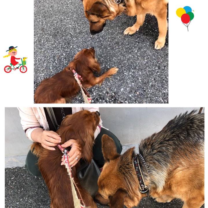 166730d0 7fb3 4f3d a059 1b50ca6fde8d 1558760553827