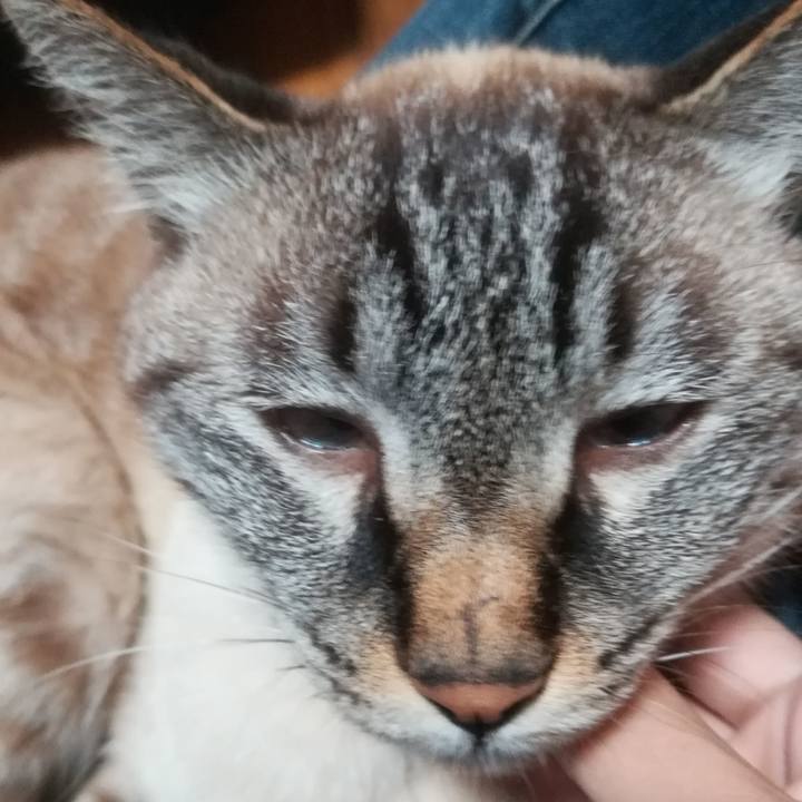 16674dfc 098b 44ae 9413 4874722e3abb 1595672802062