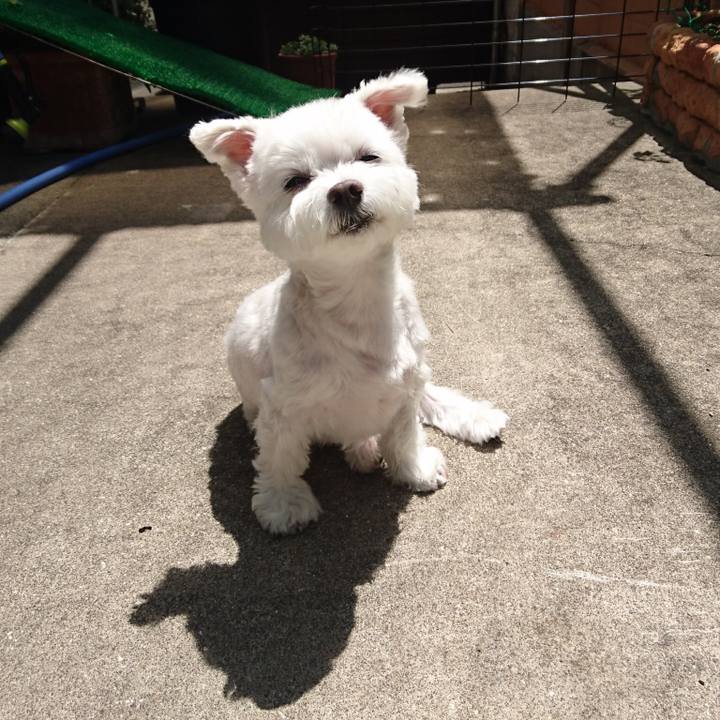 1667d5ac 0895 4230 8d97 10f1bc5e481e 1548232549744