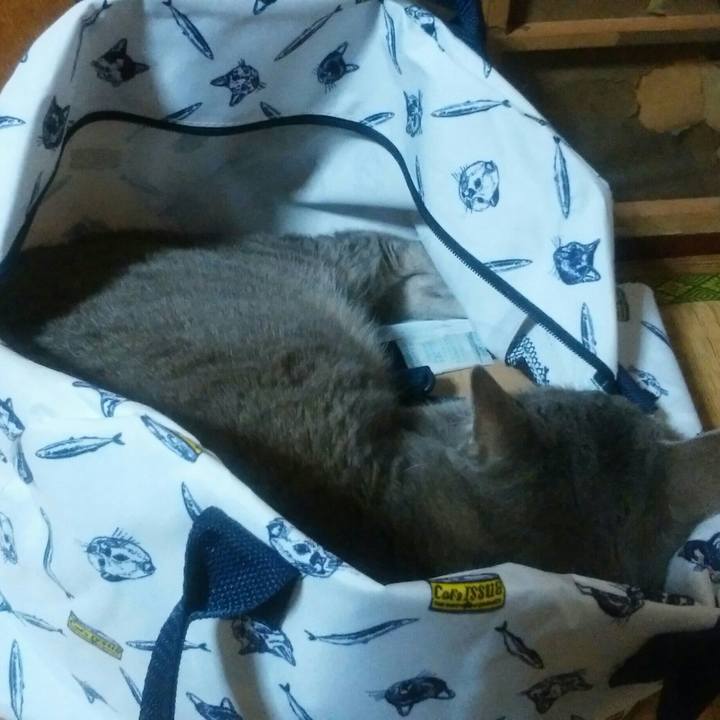 1667eb1d 9f72 410f baad f54bb72471d1 1525016555920