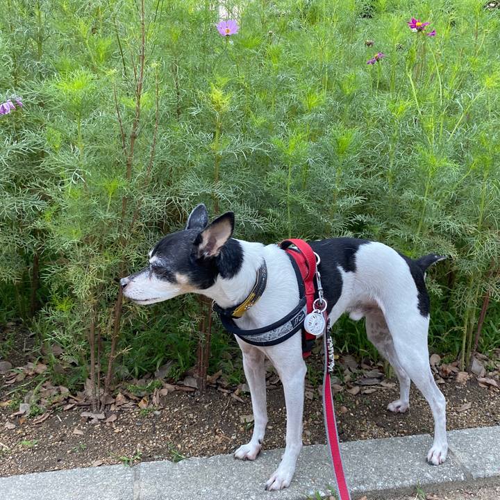 16680557 87c1 4116 88db e8d5714f7ec7 1571026733064