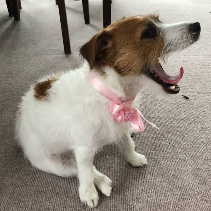 16682033 acff 4a08 87df ef28624e67b0 1536009345178