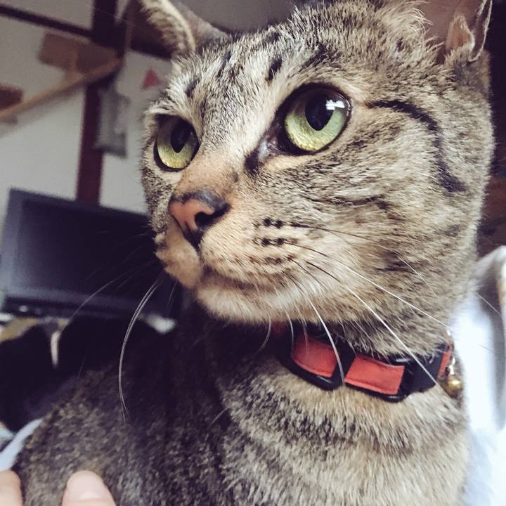 16688ddd b5d6 4c5a 867d be0d35e3712e 1525784609469