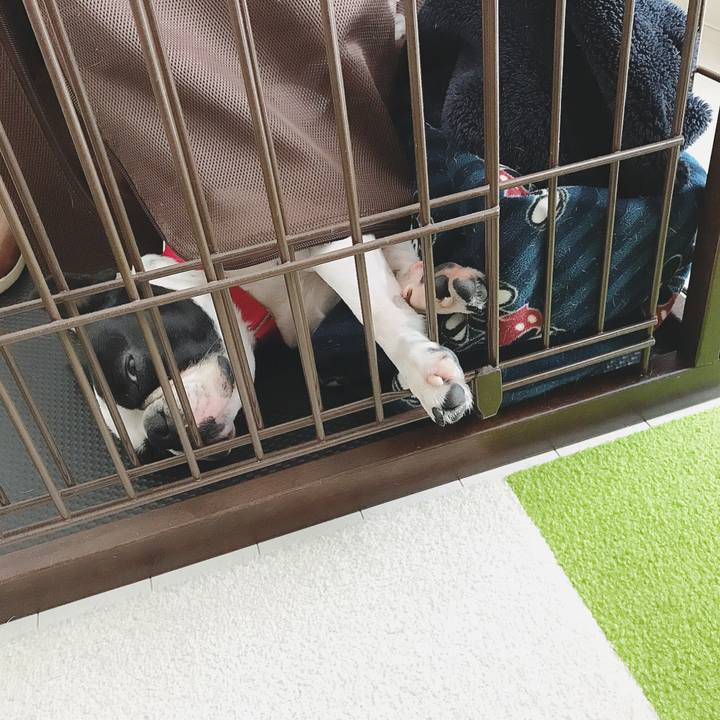 1668cbe0 0940 439e a88c 8d87a04841e3 1525133025019