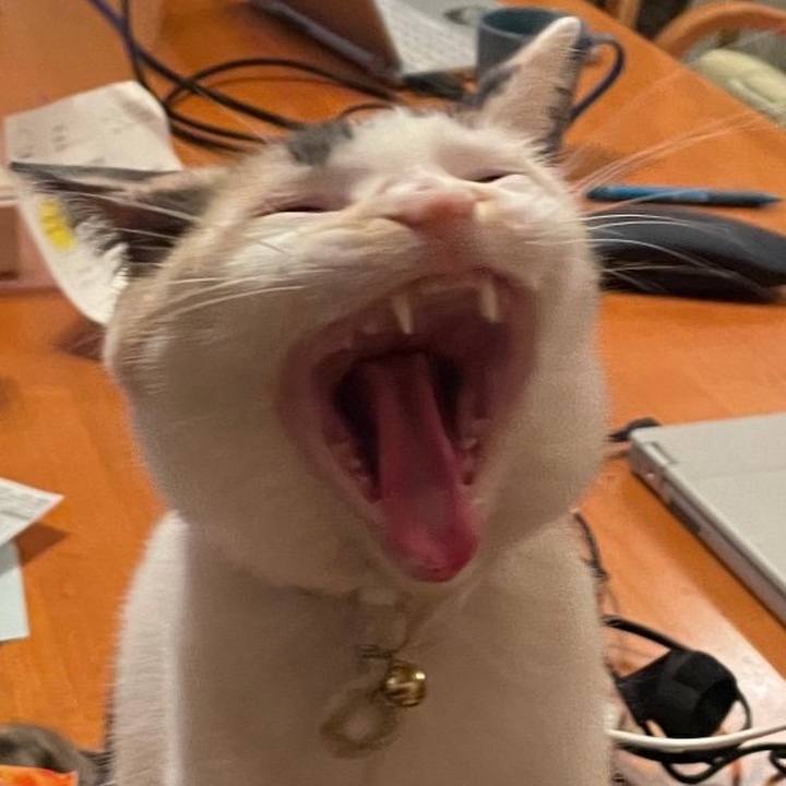 1668d617 9e34 4177 8528 4426a07dd3eb 1676116723190