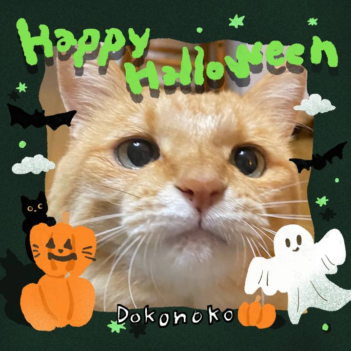 1668d66c d407 477a b34e 00ce9d24d41d 1729320411763