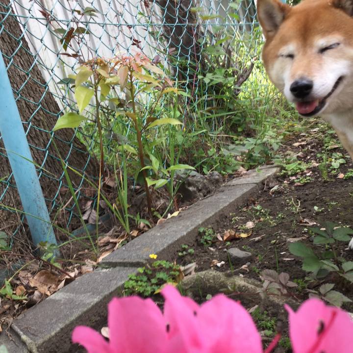 1668d752 e4a2 4a39 8f0e fa8ff45df70c 1590638139448