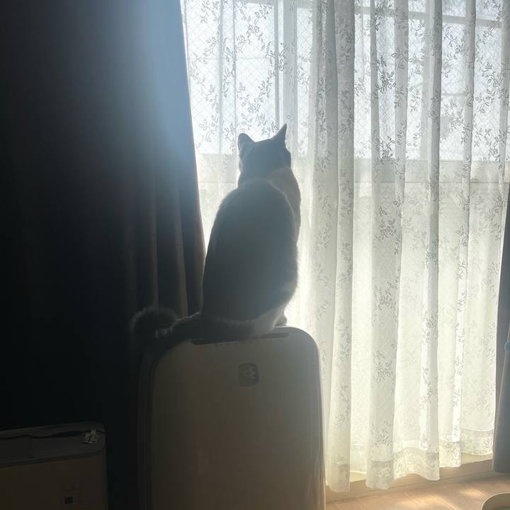 1668f394 06d6 4fe8 902b 63eb8aef5c11 1664240249876