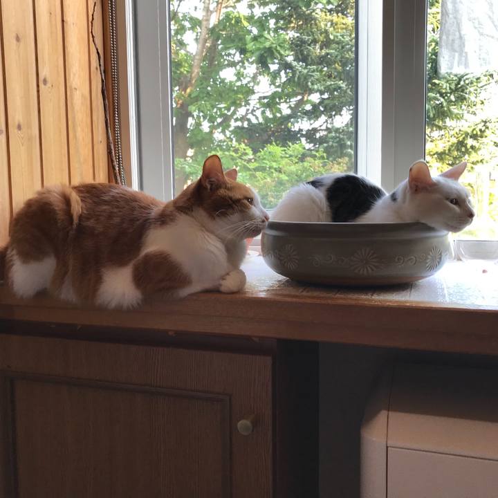 1668f3c3 2431 4c1e 986f f06dfbe1dd88 1532677431668