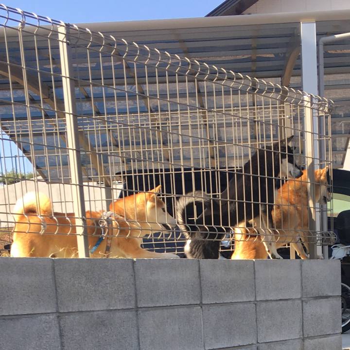 166903e6 87a2 4100 9597 ac30debb4635 1512341671439