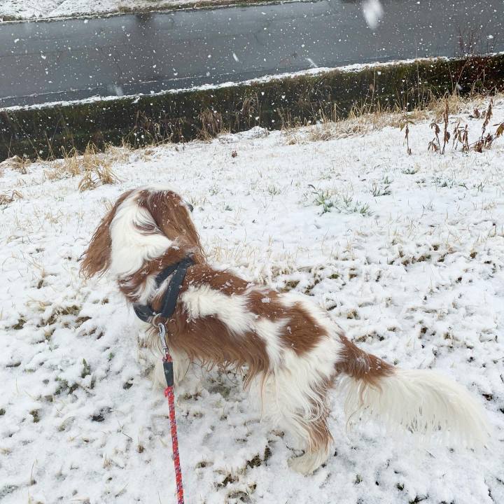 166929f1 7179 4fe5 8db0 42d322fa3c37 1585003590487