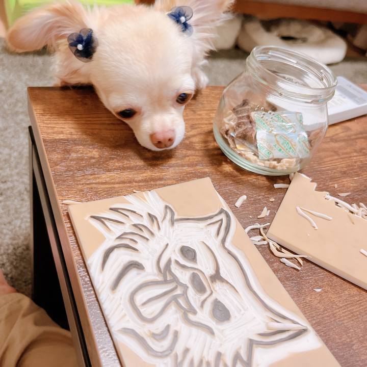 16693064 b279 4dc8 b719 702883716777 1656412813609