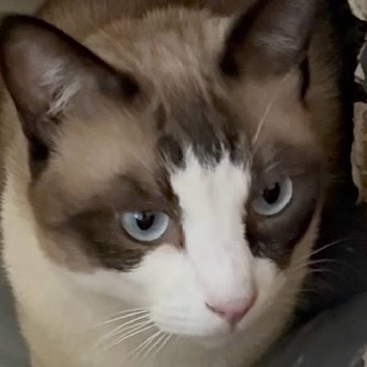 16693f61 08b7 41f3 8f6a 7bf5733666d6 1758016106016