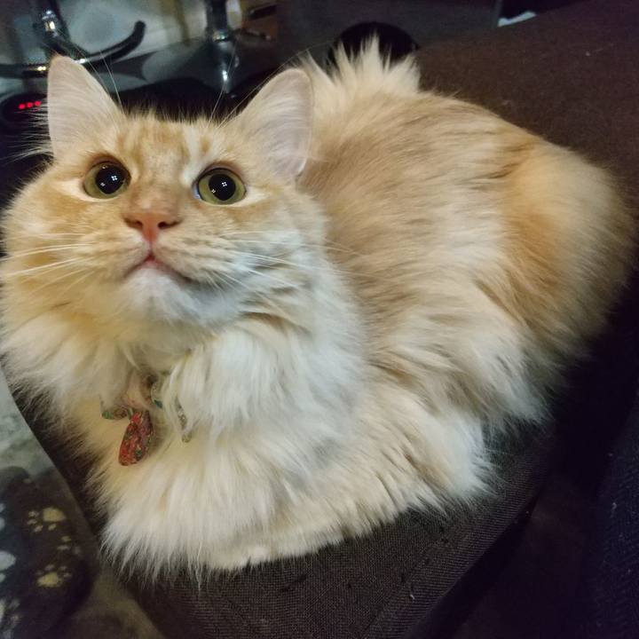 16693fd1 50db 43ff 9e88 20b4c4bb355a 1648480353449