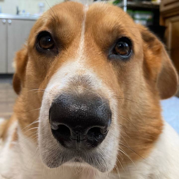 1669422c 8f09 4f5c bbe0 fe6d0a032dcc 1722989212236