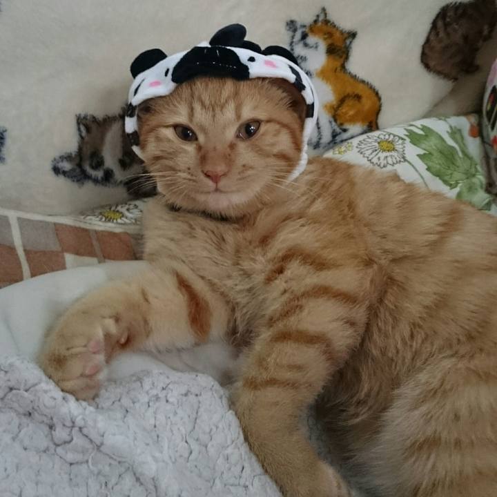 1669a5f9 1b1a 4a77 8ab7 72a69926a647 1543819885619