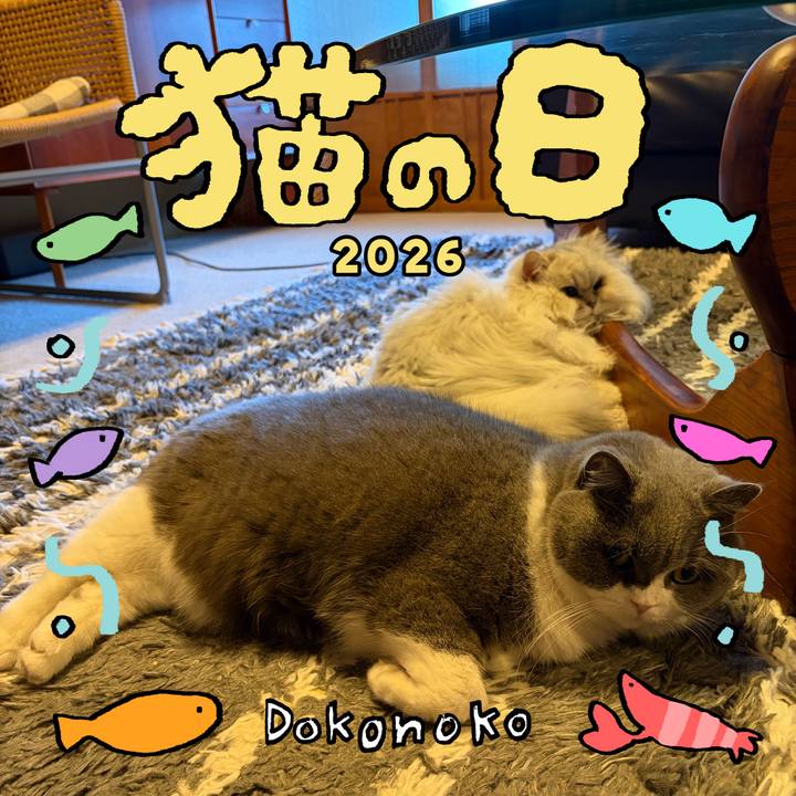 1669c978 d76d 42bf a086 3268c2b98cd4 1771718853822