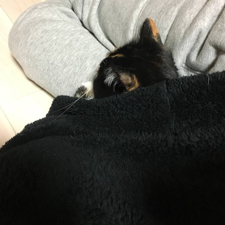 1669d07e 12c6 43a2 b8c8 c01e8d3155f0 1514906650558