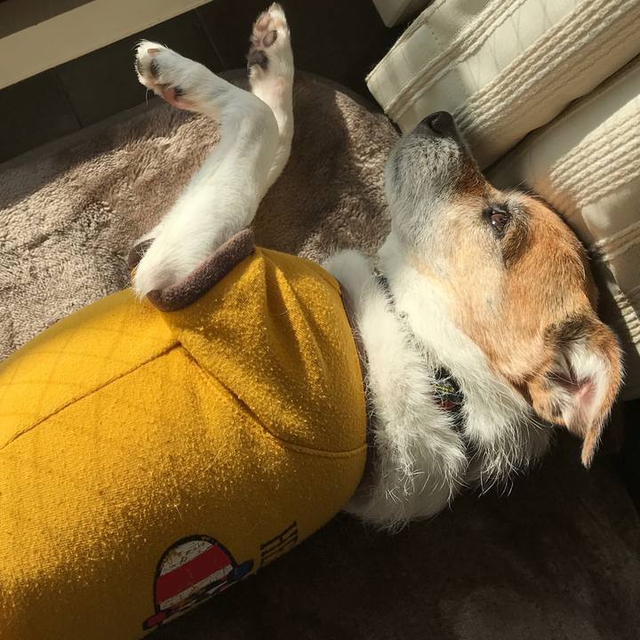 1669e4c9 8291 4b06 a26e 11da278642d2 1575777015121