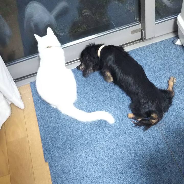 1669e994 96ca 46cd b167 e81f983fc8aa 1645312257484