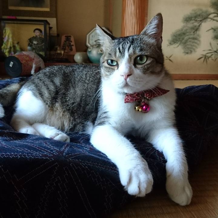 1669fcc1 4ff1 4d78 839a 0043858109d4 1531523817459