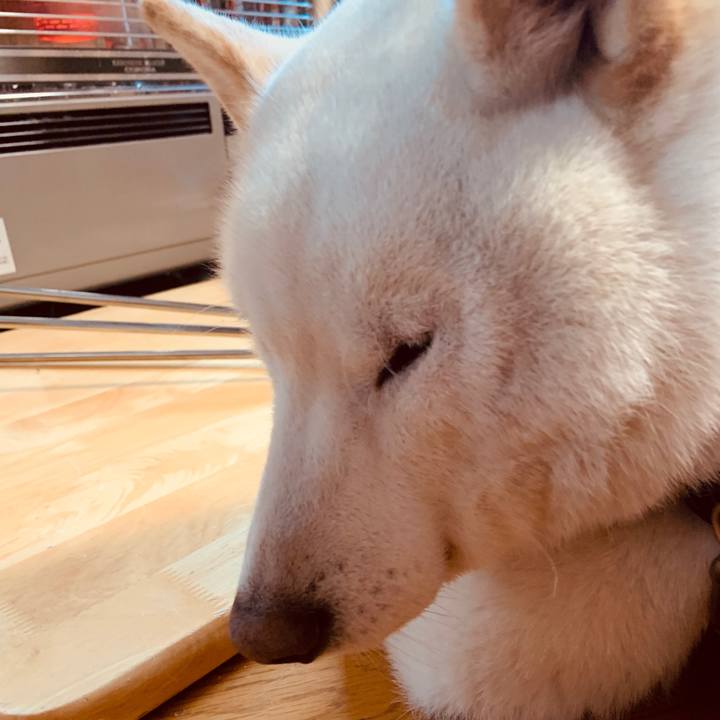 166a3fb2 e07d 461c b4d1 dd566052bcb0 1580168808145