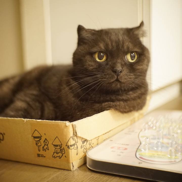 166a56ee 1ddb 41f4 b022 ff1d80c33cfe 1598458062759