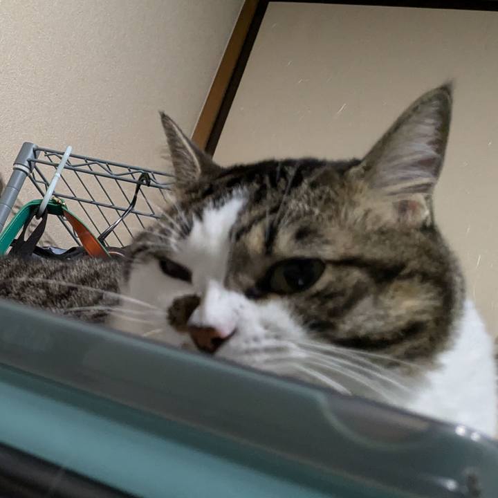 166a644c 1afe 49c0 ac4d 9fa68781da1e 1724326763146