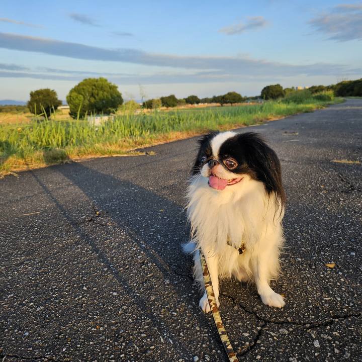 166a6d8f 0328 4f1f b8e3 899165cbb5ca 1691812059174