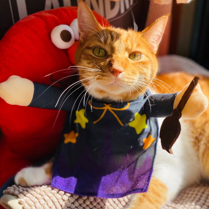 166a7314 0197 476c 8453 3d41095407e8 1604117352765