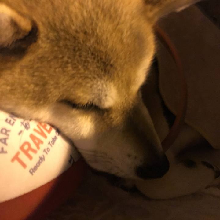 166a8ac8 becd 4274 8f79 0eaa90dd0168 1561629235350