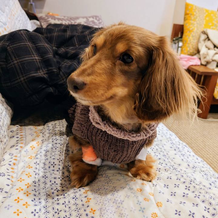 166a915f 1715 4437 a976 e11f4a60f3eb 1708948132205