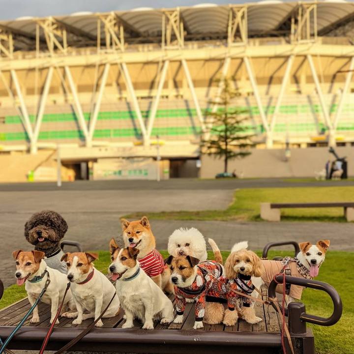 166a98c3 7277 4d2e 930b 59939b823b49 1697025560767