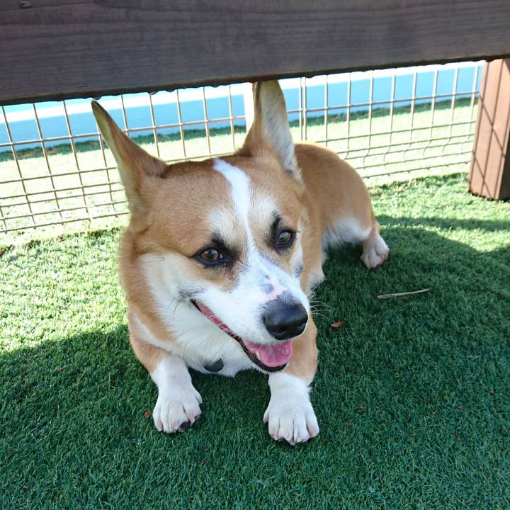 166aa2ee 15db 4f20 8f94 06714d9c24c9 1611572695840